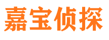 东兴市调查公司